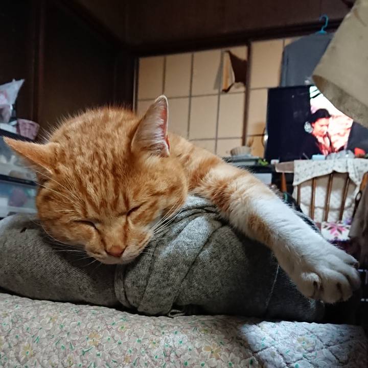 Eeb0ed68 9179 449a af5c 0c2fc03d3f62 1578817386773