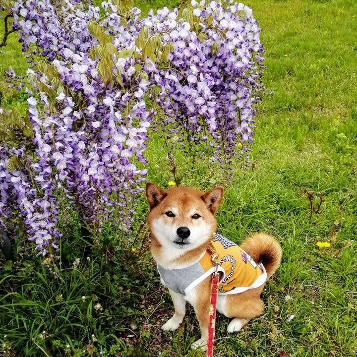 Eeb14b42 4896 4dbc bbbc 5304615da471 1618634028118