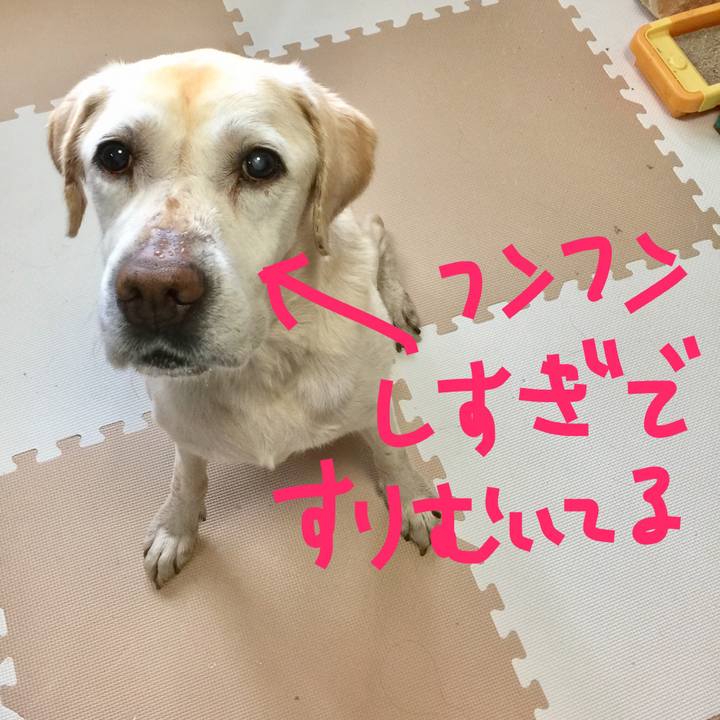 Eeb15d4b b414 4833 bc7a 46dc13deef7c 1559820139046