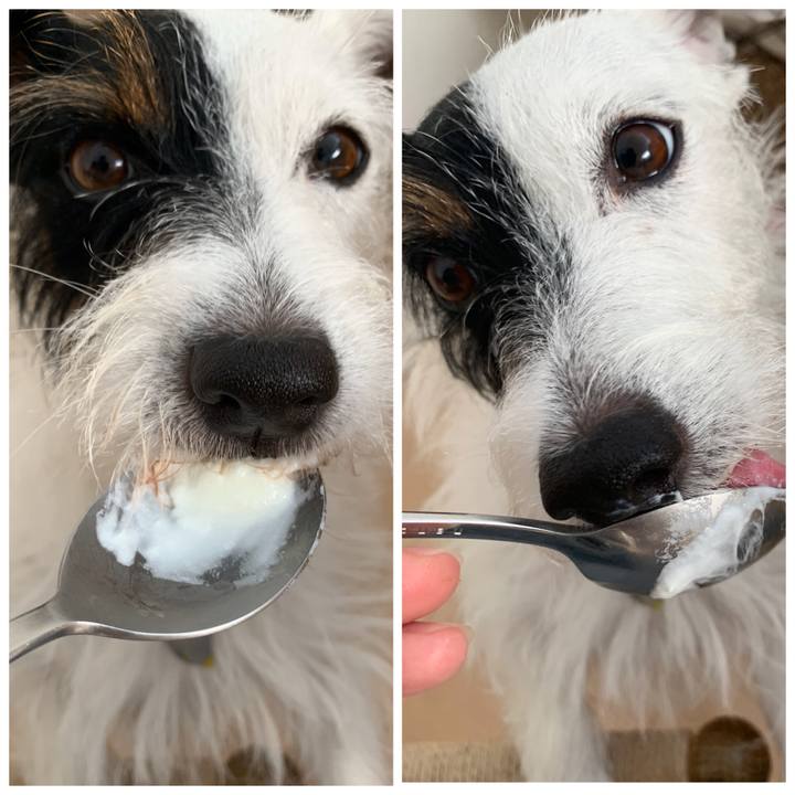 Eeb18566 1c34 4eab 81ea 0093db2c5aa8 1569365139139