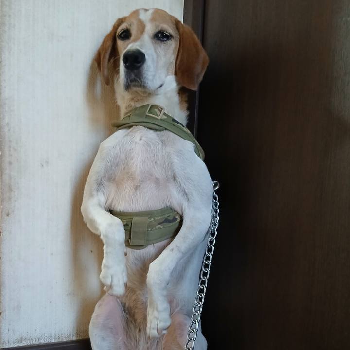 Eeb1e5b5 eabd 4f69 820c 27f397ede076 1754571884382