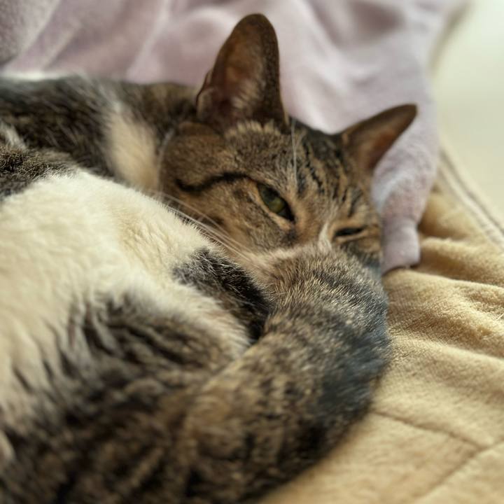 Eeb254de 7ea6 4f0b 86b5 60e7df368290 1673231895348