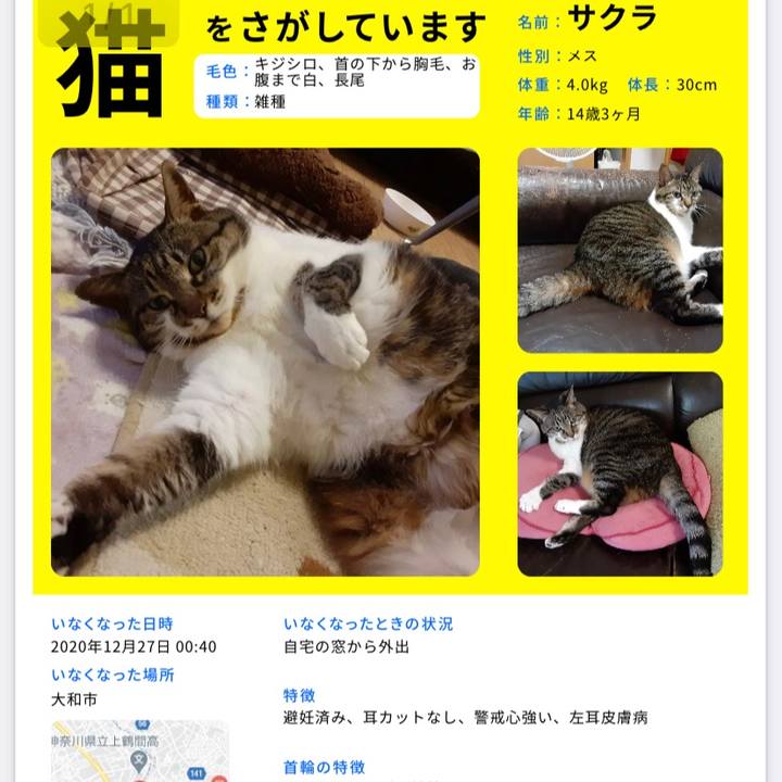 Eeb25893 11cd 4c0a 9323 90a2ae98cdec 1614856183971