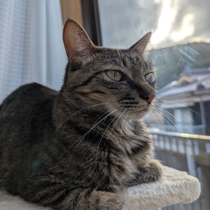 Eeb271b6 95fb 4794 9f5c bf5ef727dce7 1759208148335