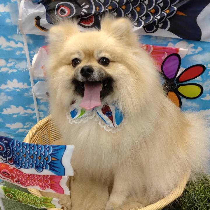 Eeb2c11d a319 4689 aad7 701872376a99 1651927201173