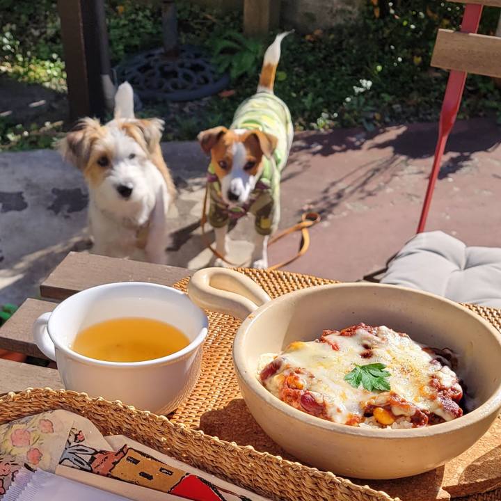 Eeb2e68d 0e30 4bcd 9b57 f043934ba687 1702600694137