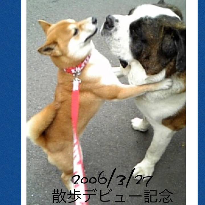 Eeb2f2cc 74bd 43ab 9be3 7a57122cf0e3 1648077332895