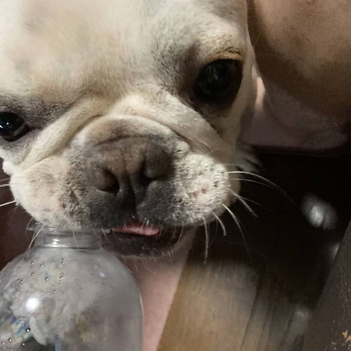 Eeb31446 ebe3 4426 ae90 7969d9471529 1661333500258