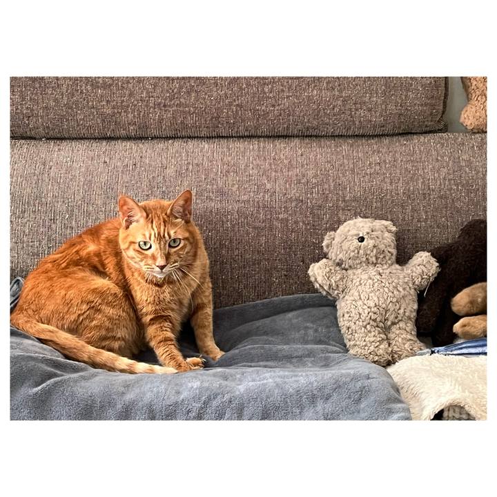 Eeb3192f fea3 475a b22a 731de13803fe 1684369774174