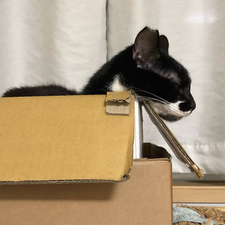 Eeb337d8 3654 483a bba2 dd88218392f2 1547295905043