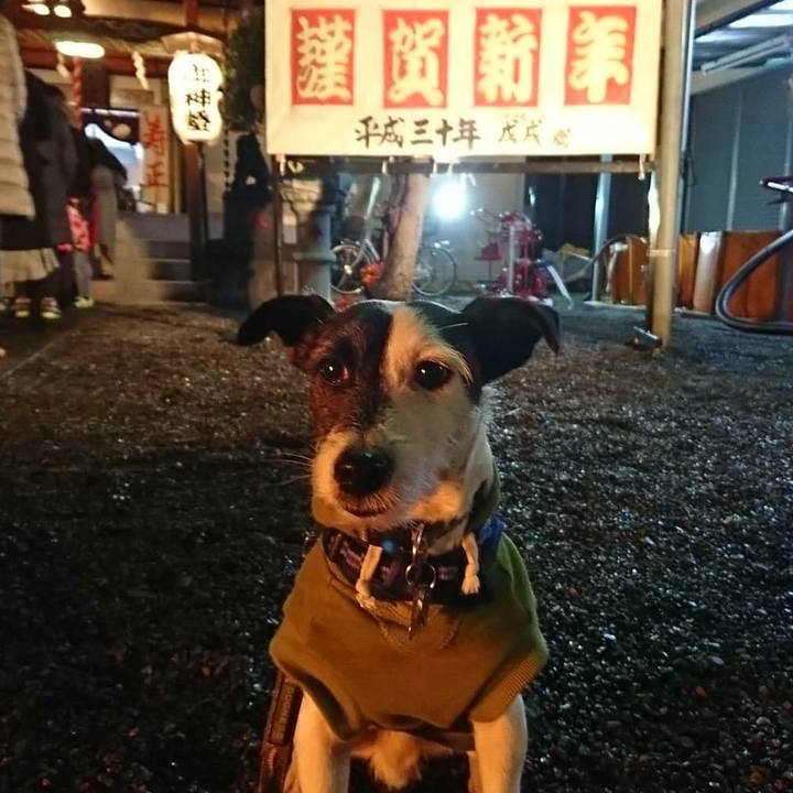 Eeb38eaf 38a6 42db 8454 b618f8e9886a 1514736871428