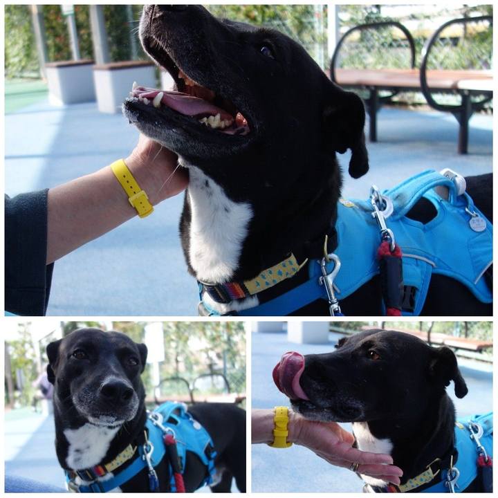 Eeb39606 56d9 48aa 80f3 6090928980c4 1632789976106