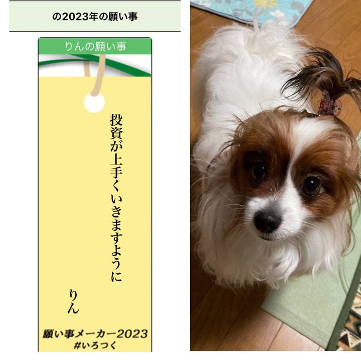 Eeb3c0af b625 4ee9 b76c 91ae77769615 1688746618619