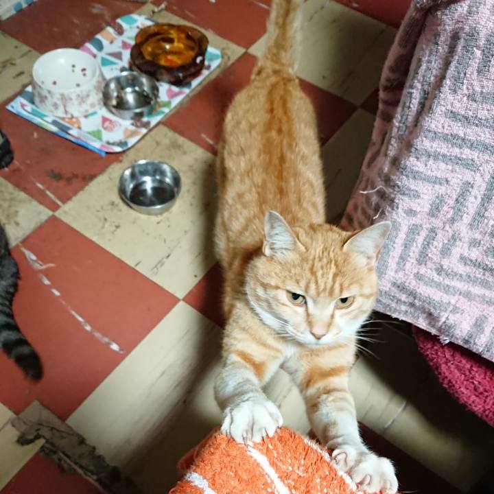 Eeb3d889 a6c5 4940 afe3 60279189a00b 1589956284355