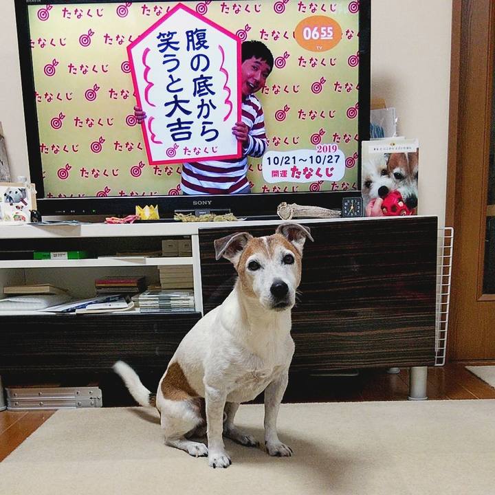 Eeb3efde a32f 425f b3e5 3967acd38597 1571610367007