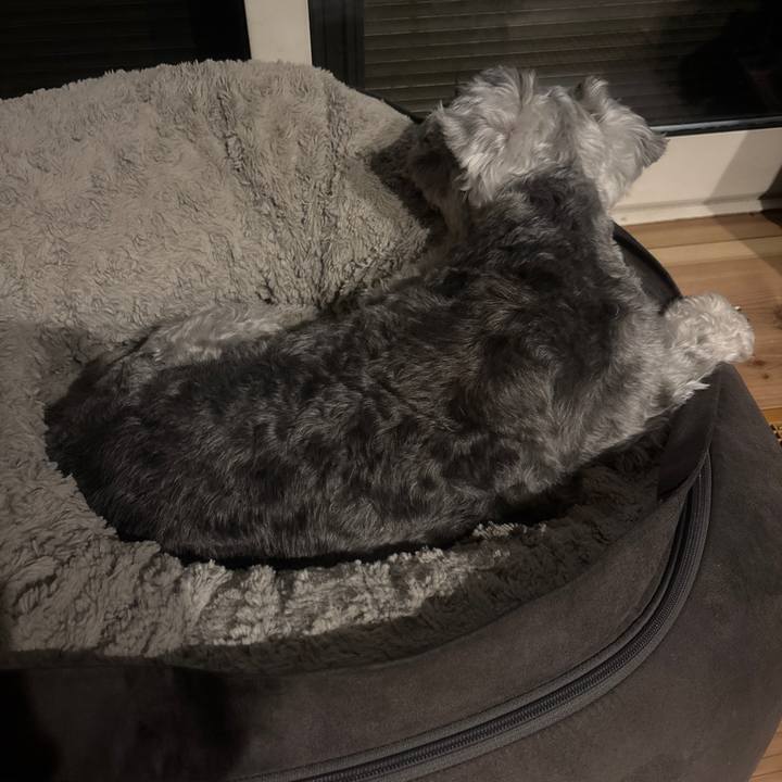 Eeb415d2 05d5 4a24 b258 fa2273f8a0e5 1760430664194