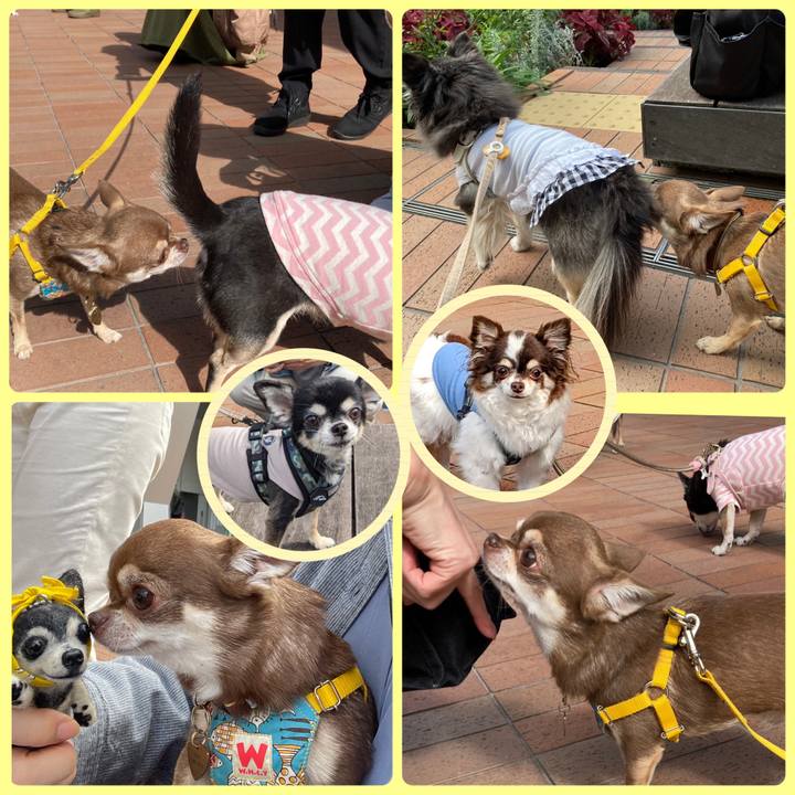 Eeb41e7d ec1d 4d09 92a3 ed772aaeffdb 1698152514373