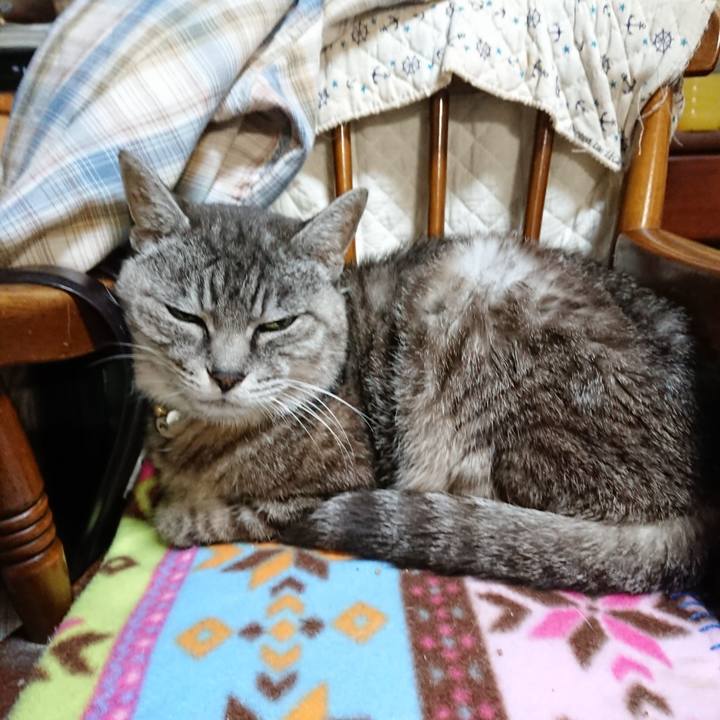 Eeb43075 dfd9 4e4f b6f6 1b52b939658e 1569581148194