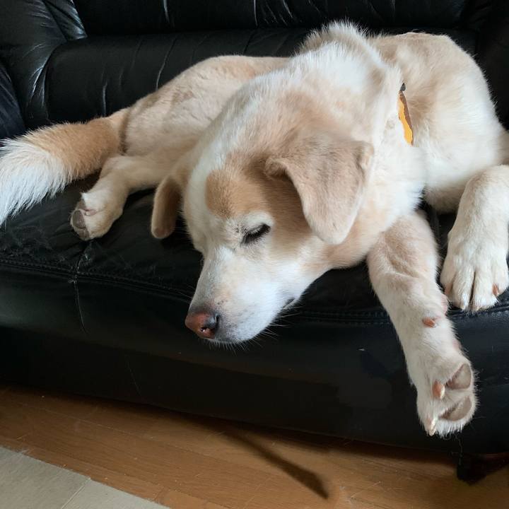 Eeb45c7b 6ced 4b9f ba0a fdc808566504 1661696333407