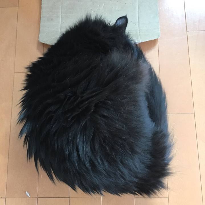 Eeb4abdd 1de6 41f3 aec2 a27c75d9dfce 1544508156621