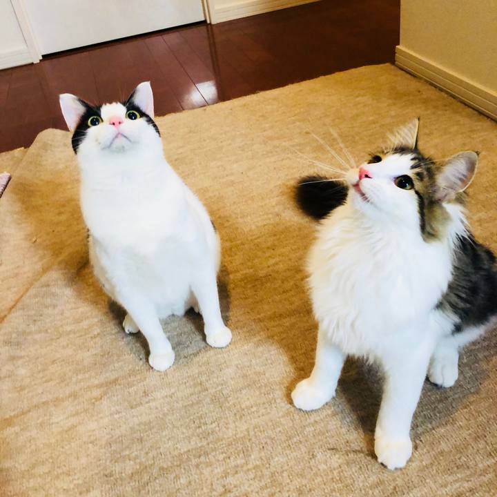 Eeb4c0fb 7ca3 49c9 963a 6477eced899c 1517810884608