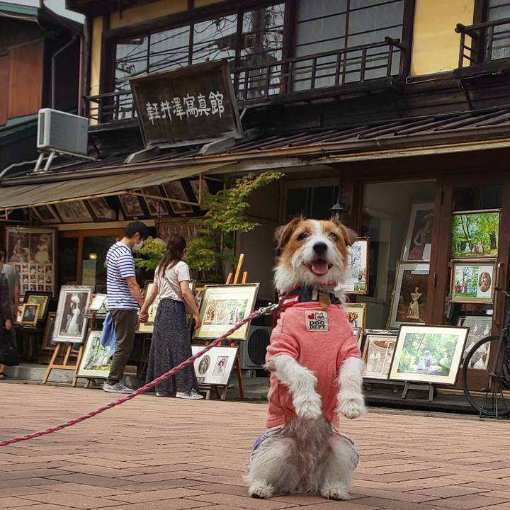 Eeb4c646 7c7c 46b6 937f f53bd6ac647a 1600481592715