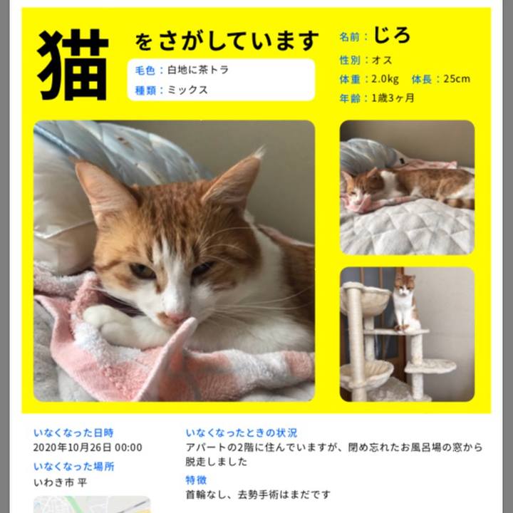 Eeb4c82c 4049 4435 8cb6 8c6a49d7233c 1603722462513