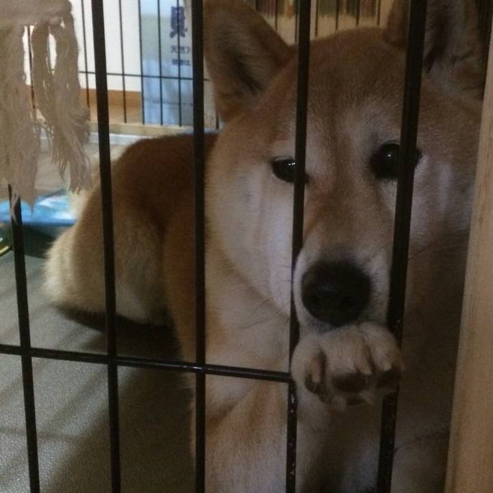 Eeb4eb4d 9d20 42de 9109 3a95d7e3fd8b 1698985716197