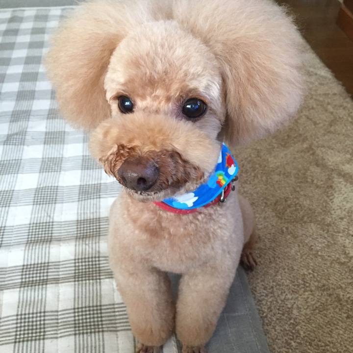 Eeb512a5 ebda 4e06 b001 d6b1b0299165 1508403860284