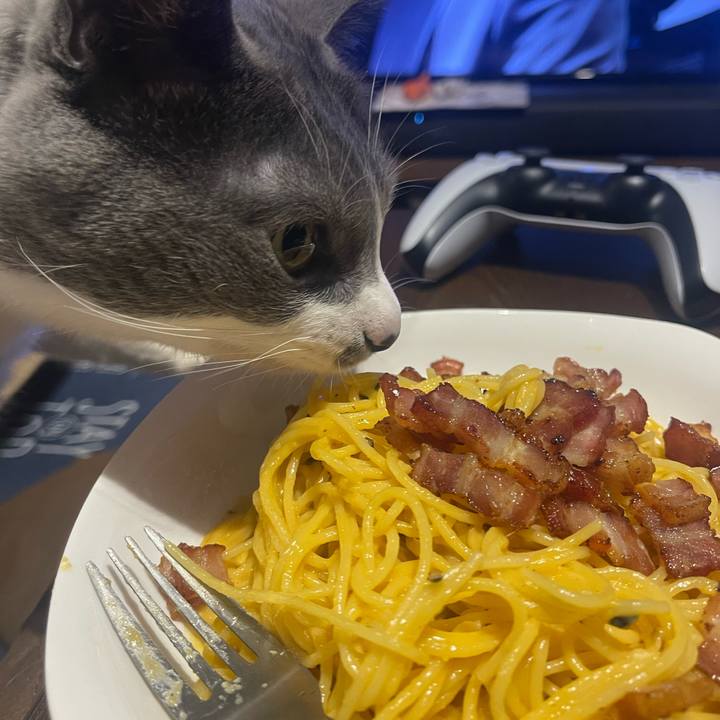 Eeb55212 71b8 483c b5dc ccc16fe437b0 1709809535232