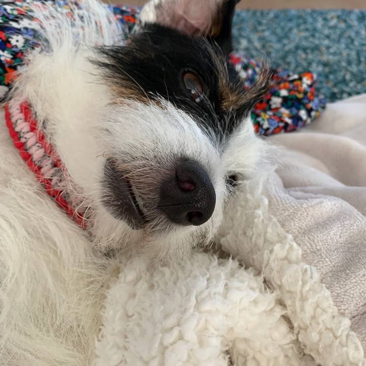 Eeb55b9c 1389 4eb0 a0a5 d9de043579b8 1567690171241