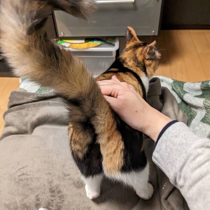 Eeb55c1e 9994 49fc 8bcb 52fd8d0245f4 1680325808799