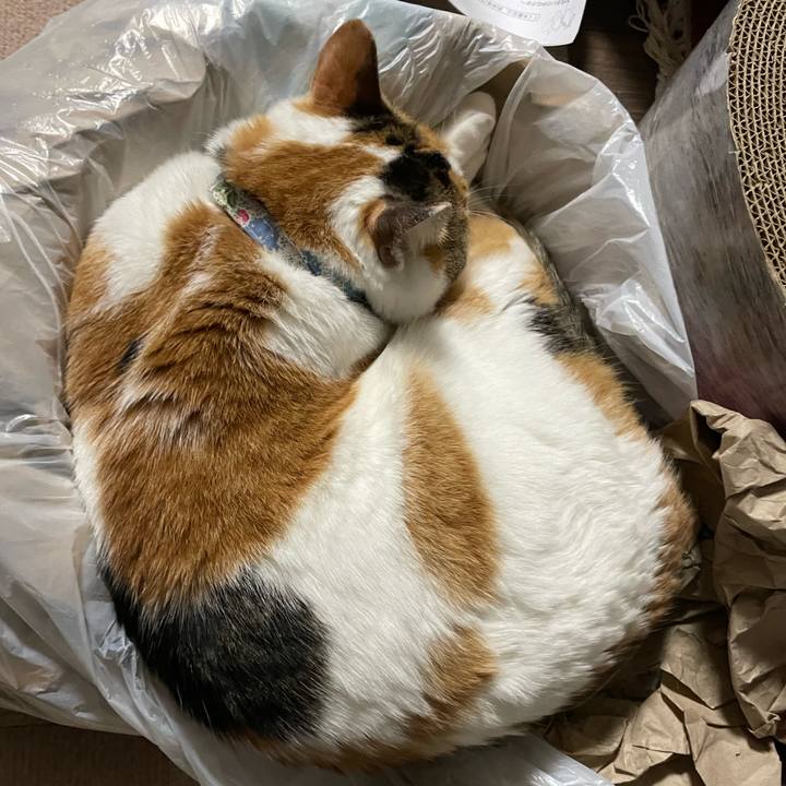 Eeb58c8c b2ee 4101 9653 239114ef9329 1714391949698