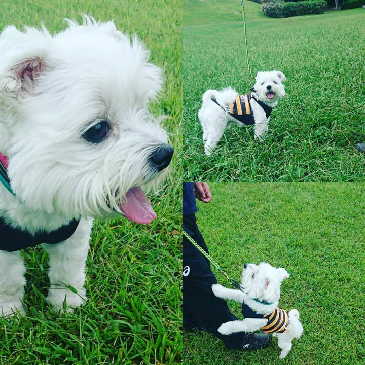 Eeb58d65 9d4c 42e9 b1bb 83367ad4723c 1570353247477