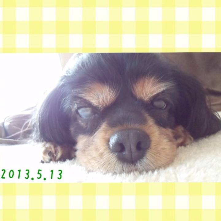 Eeb5f9f6 b3df 414e a8e0 5e423725add3 1518322250857