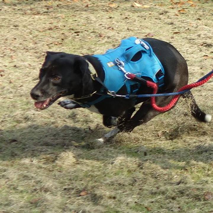 Eeb63d99 6e59 491f 93af 485c56eaa9f7 1634258237003