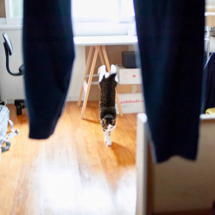 Eeb6578f 722a 4820 ba72 e80c70b3f7e9 1604371850688