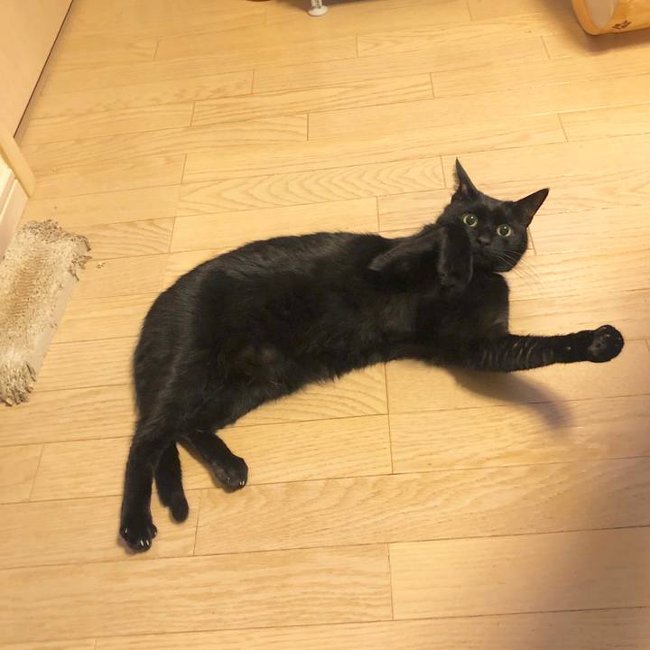 Eeb6b570 85aa 4ab0 a093 4bf5971bc704 1579874106416