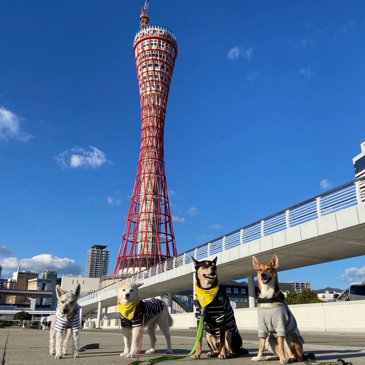 Eeb6e268 d84e 41c4 b609 046e2cc5c59a 1700021991434