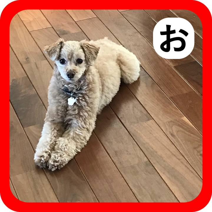 Eeb6fa8d 6e42 4107 8d10 cd5956bf671f 1515315107618