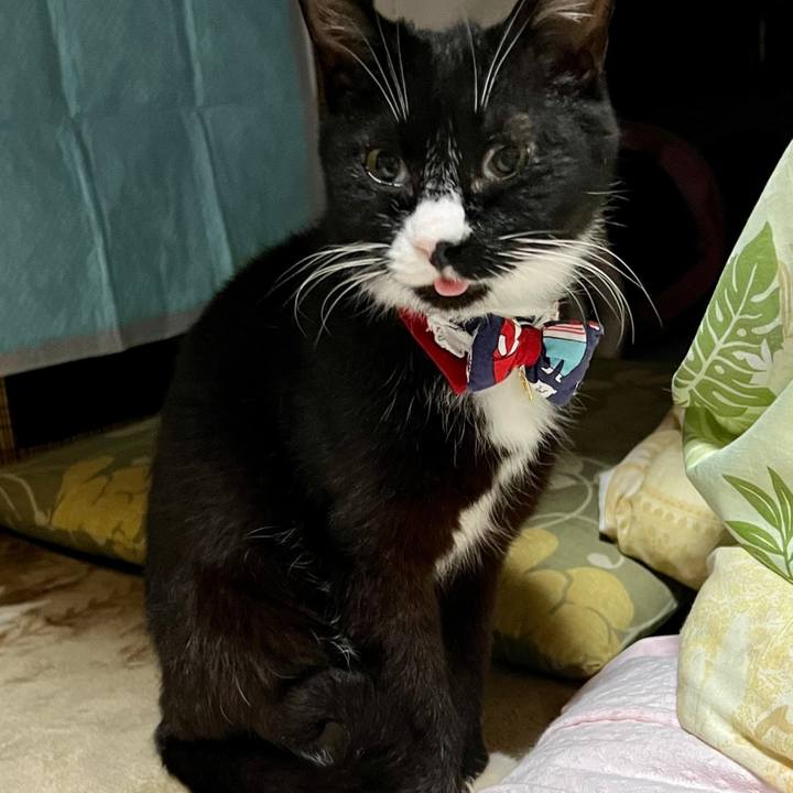 Eeb71059 51f0 46dc a8be bfc5c7f4548e 1677067035334