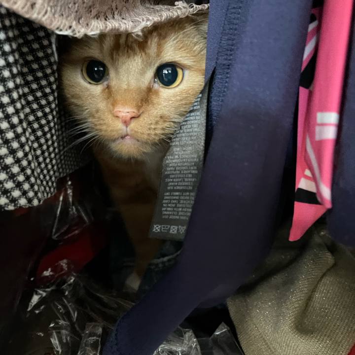 Eeb7146b dfda 48d7 a76d 406c0097c3a2 1632357286752