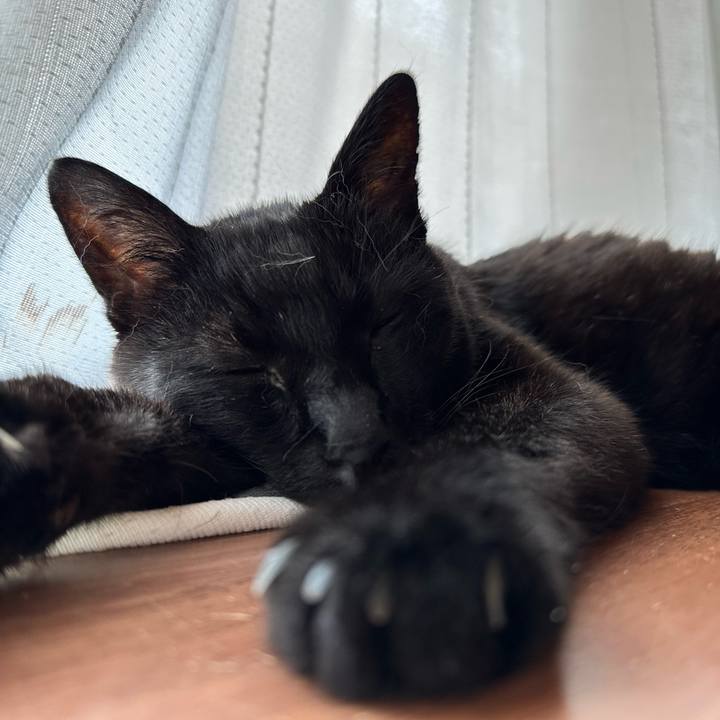 Eeb714c2 e1aa 40d7 a444 c9a70acc0c3e 1688607273656