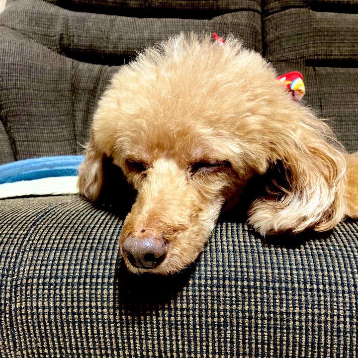 Eeb71fba 6959 45c6 a337 0c5d69e2ea11 1653635863780