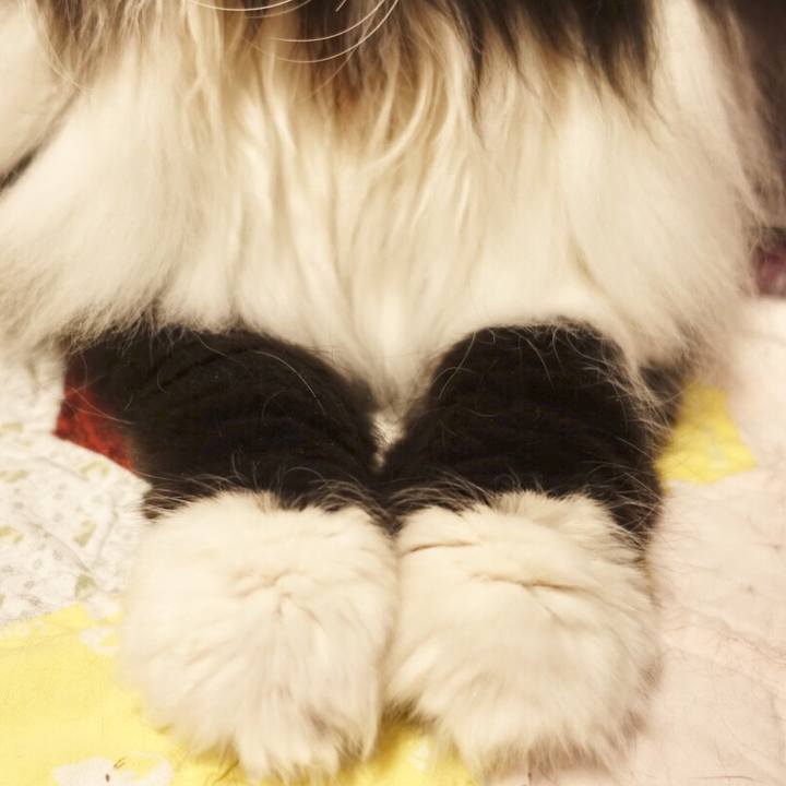 Eeb73d2c 5316 4ba5 81a0 6771a5cd785f 1563097419254