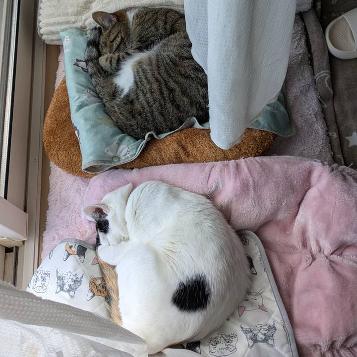 Eeb74dc5 b87d 49fe b9af 7235faddf57e 1745986041318