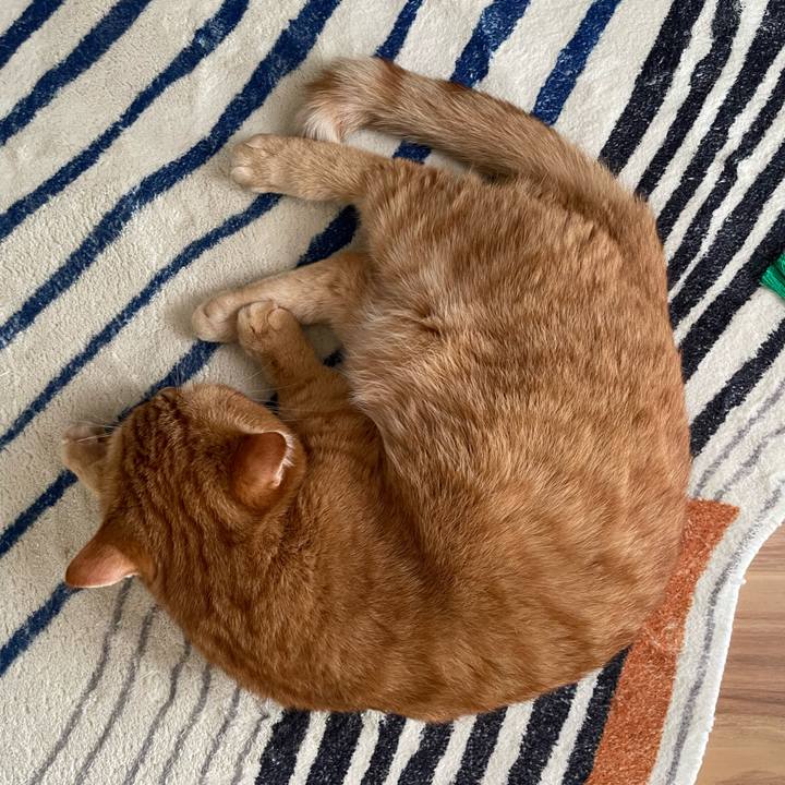 Eeb769c2 01da 47d6 891f a7c9127f8711 1758606768030