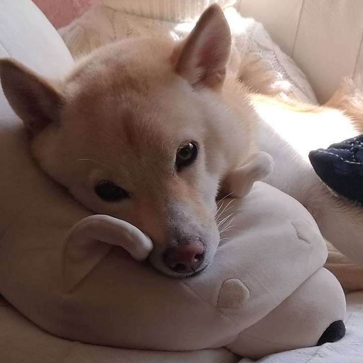 Eeb7743f e253 4f7a a4b8 f0fbf1dbc0c2 1569898708331