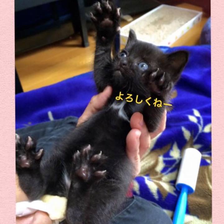 Eeb7844b 2ef2 49c9 ba2b 05ff3a467cf4 1569070872360