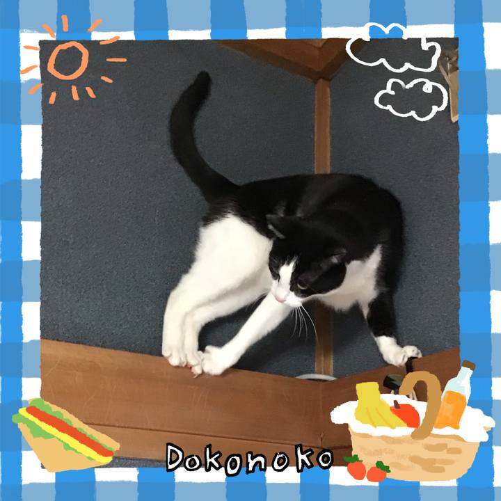 Eeb7cce5 96b4 48c1 be4f 3c3e08ddd5b7 1744276923413